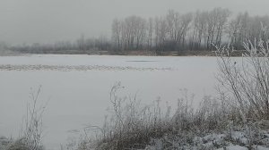 Природа Абакан 5 Января