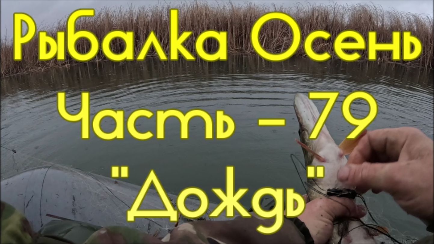 Рыбалка Осень. Часть - 79. "Дождь". смотреть онлайн