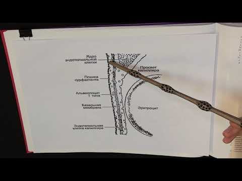 Аэрогематический барьер