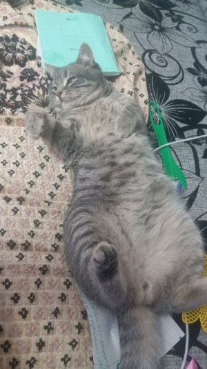 мой третий влог