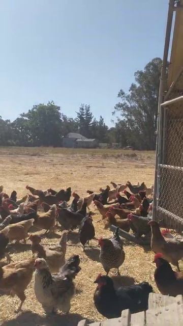 Такой концовки я и сам не ожидал (141) смотреть онлайн