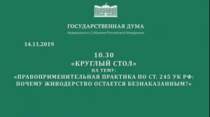 Маргарита Гаврилова. ГосДума Круглый стол (14.11.2019)