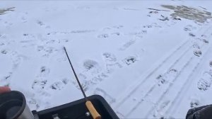 Нашли озеро где много окуня! Блесна выручает!