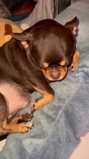 На полу, но в подушках.