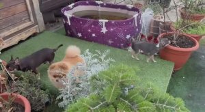 К нам опять пришло тепло и сильный ветер.