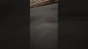 Новогодняя 🎄🎄🎄 традиция.🎉💫💥❄️