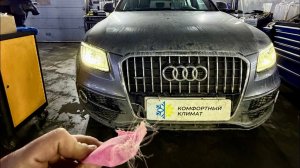 AUDI Q5 КоМпЛеКсНаЯ ПрОмЫвКа оТ сИлИкАгЕлЯ АУДИ КУ 5 -«ГАРАНТИЯ»