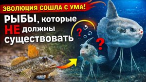 Эволюция сошла с ума! Рыбы, которые НЕ должны существовать