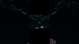 Коты воители клип livin'in a World Without You