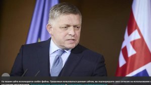Фицо заявил о готовности ЕС дойти «до края пропасти» с политикой против России