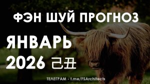 Прогноз по Фэн Шуй на Январь 2026. Карта Летящих Звёзд и безопасные зоны для дома и офиса
