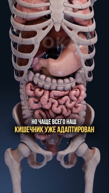 Это видео может спасти вам жизнь! смотреть онлайн