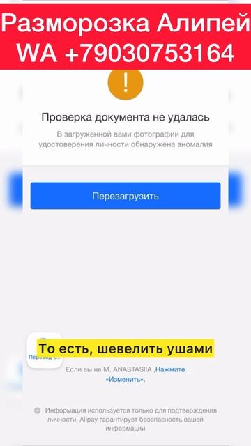 Слетает верификация алипей как быть #алипей #alipay смотреть онлайн