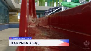 Специалисты Роспотребнадзора дали рекомендации по посещению водных зон