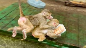 МЫ УХАХАТАЛИСЬ! Как Люся, Степа и Маня ДЕЛИЛИ НОВОГОДНИЕ УГОЩЕНИЯ!))