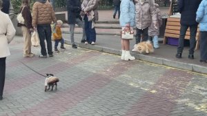 Битва Титанов сорвалась