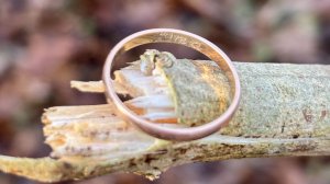 золотой выход