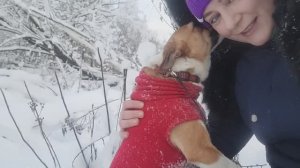 LIVE*PITER: 1 января 2026 - Собак на всех не хватило, хотя каждый думал, что будет единственным