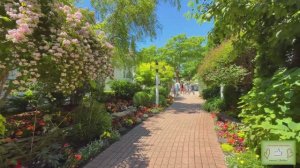 Летний тур по острову Макино | Потрясающие сады, Конные экипажи, Виды на воду, Умиротворяющие пейзаж