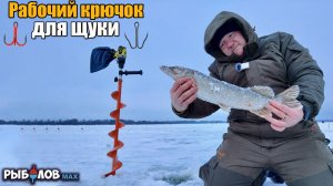 Открыл сезон 2026 по щуке. Лучшие крючки для щуки. Выбираем крючки для жерлиц