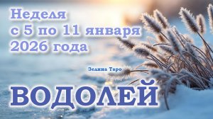 ВОДОЛЕЙ | ТАРО прогноз на неделю с 5 по 11 января 2026 года