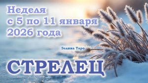 СТРЕЛЕЦ | ТАРО прогноз на неделю с 5 по 11 января 2026 года