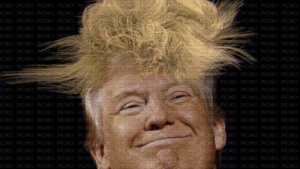 Кудлатое трепло бомбит Венесуэлу