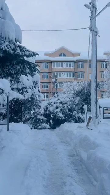 Мурат, спасай нас поскорее смотреть онлайн