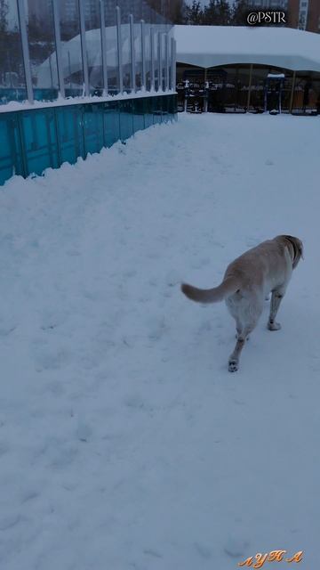 У катка
