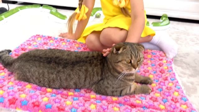 Диана и Рома на русском - Сборник лучших видео для детеи  Диана И Рома