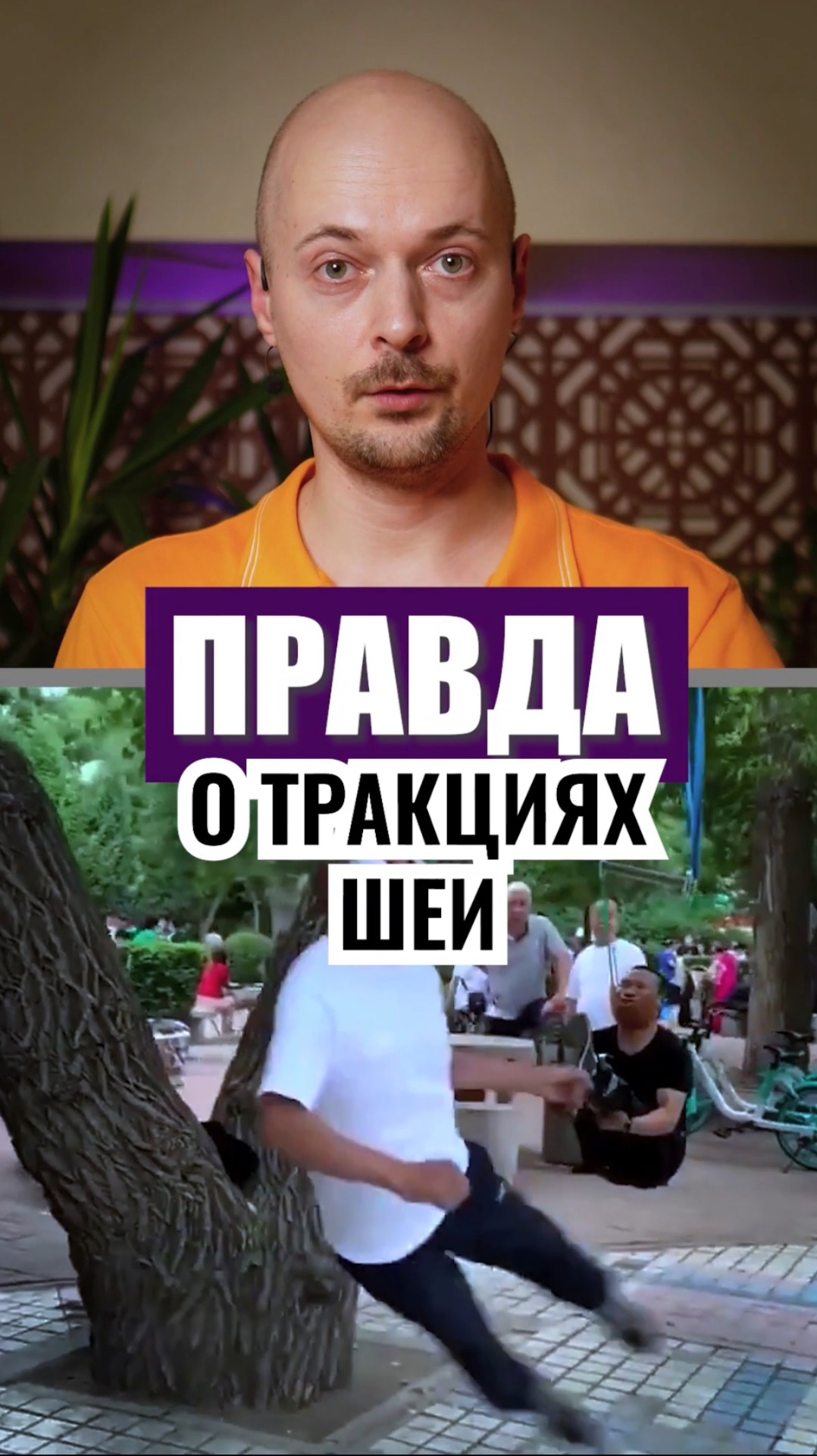 Почему при вытяжении шеи боль может усиливаться, а не уменьшаться смотреть онлайн