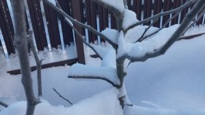 Севооборот соблюдать не получится.