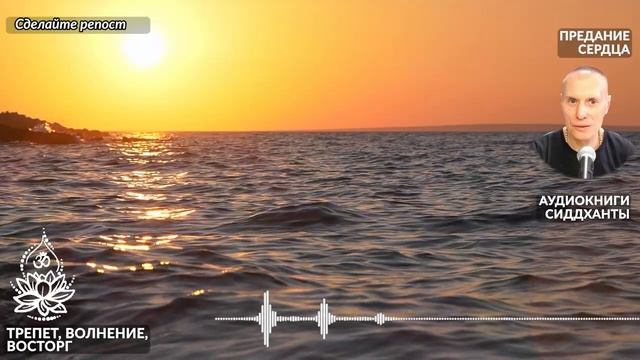 Трепет, волнение, восторг. Аудиокниги Сиддханты (Вячеслава Чернина) смотреть онлайн