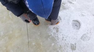 VID_20260105_110444_180