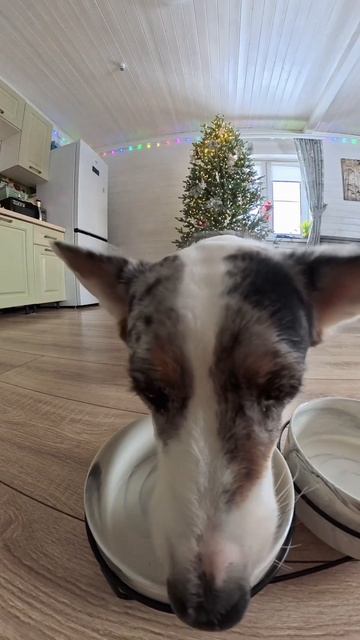 Жрачка смотреть онлайн