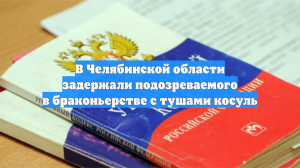В Челябинской области задержали подозреваемого в браконьерстве с тушами косуль