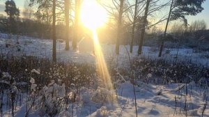 Наступает Новый год на стихи Нины Исаевой