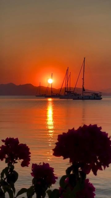 ВЕЧЕРНЯЯ КРАСОТА смотреть онлайн