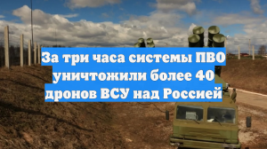 Расчёты ПВО уничтожили 41 украинский БПЛА над регионами России за три часа