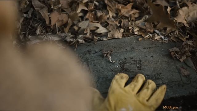 Белдхэм . Проклятие ведьмы (2024) . Ужас . США . Триллер смотреть онлайн