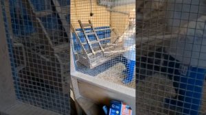 Домашние Хлопоты