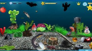 Кормление аквариумных рыбок. День #523