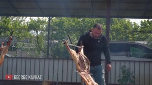 БАРАНИНА ВКУСНЕЕ ВСЕГО НА КОСТРЕ