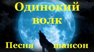 Песня шансон Одинокий волк Виталий Цаплин Блатной удар блатные песни