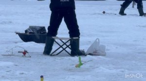 Основной водоём.Поимки