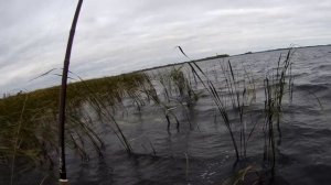 Рыбалка на щуку , отрезок осеней трансляции поклевка хищника онлайн на камеру от первого лица