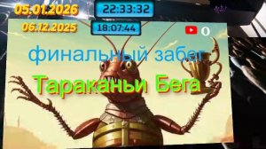 Мадагаскарские Тараканы повтор забегов!