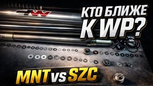 MNT против SZC: кто из них реальная копия WP Explorer?