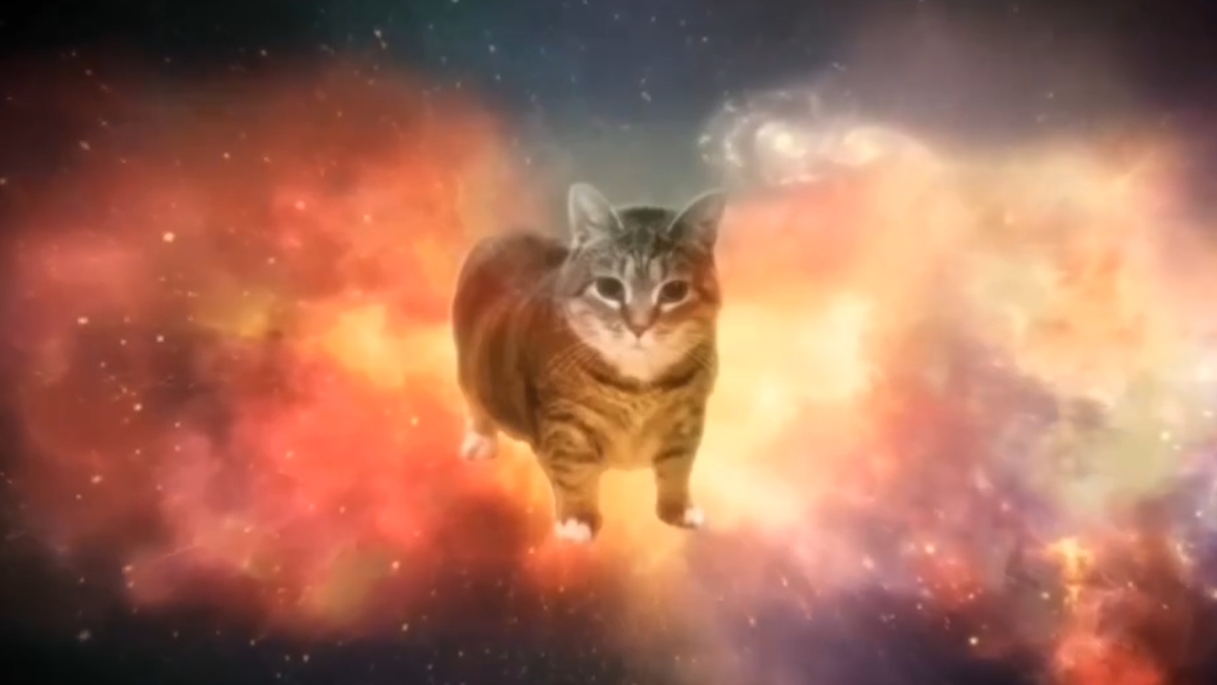 уиа смотреть онлайн