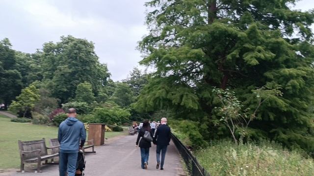 Утки в Сент-Джеймсском парке, Лондон, Англия (Ducks in St. James's Park, London, UK)